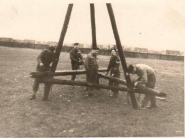 Images/Its one of them.jpg